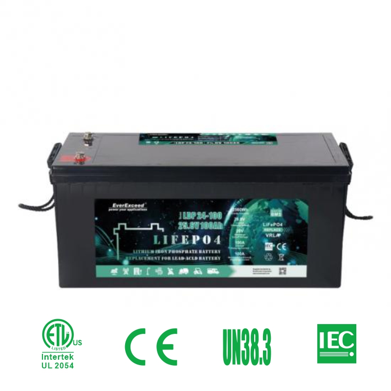 Batterie für Elektrofahrzeuge/Elektroroller