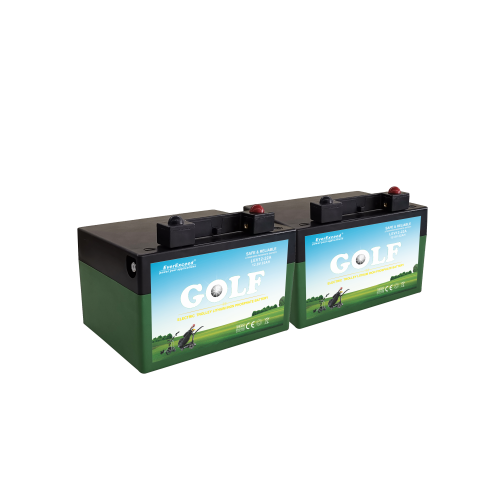 EverExceed LiFePO4 battery system