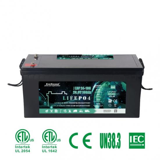 Batterie für Elektrofahrzeuge / Elektroroller
