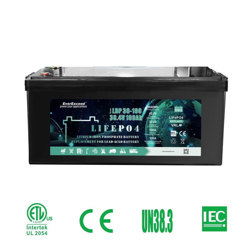 Batterie für Elektrofahrzeuge/Elektroroller