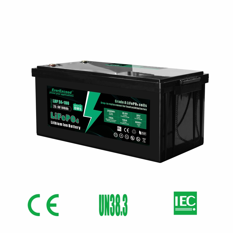 Batterie für Elektrofahrzeuge/Elektroroller