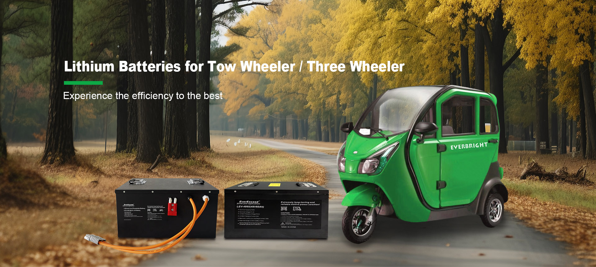 Electric Wheel Chair lithium battery