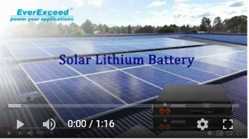 EverExceed Solar Lithium Batterie zur Energiespeicherung