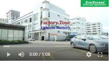 Fabrik für EverExceed Lithium-Batterien