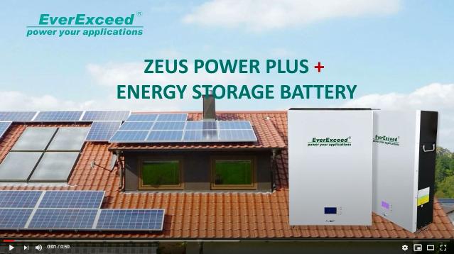 EverExceed Zeus Power Plus + wandmontierte Lithiumbatterielösung